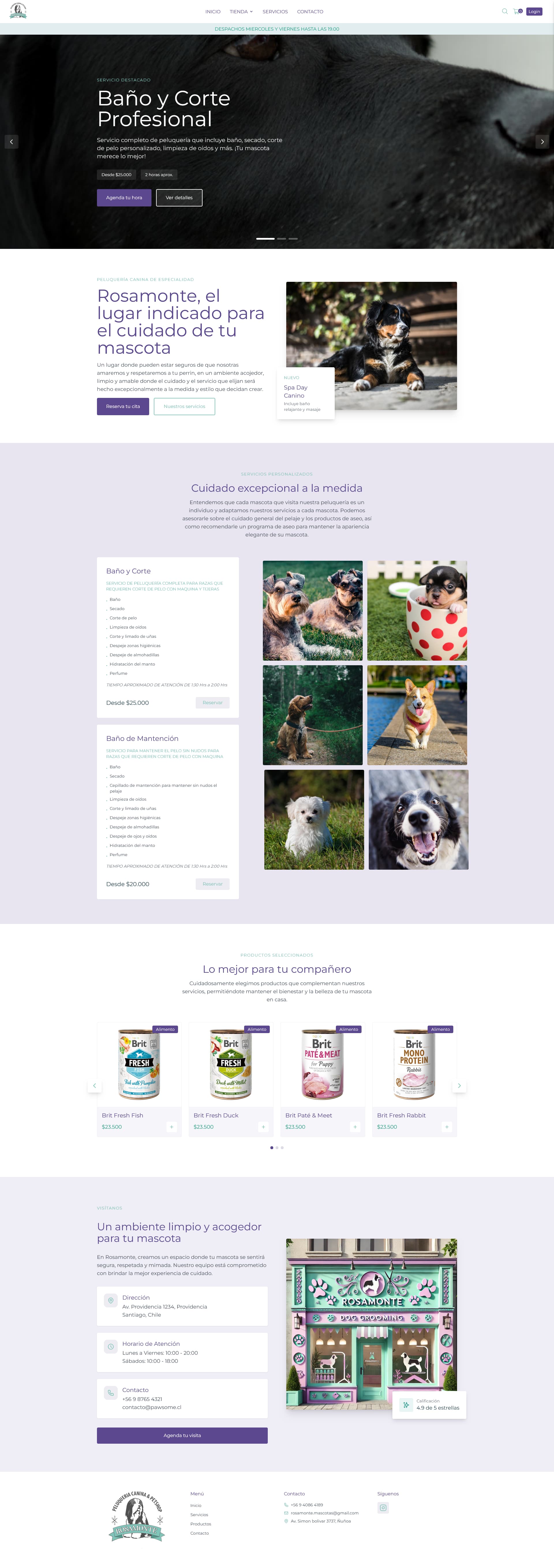 Rosamonte website